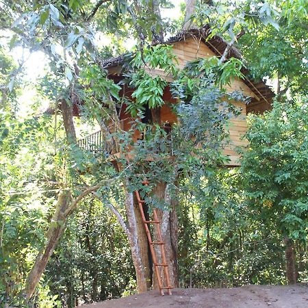 Villa Tree House-Midigama Weligama Esterno foto