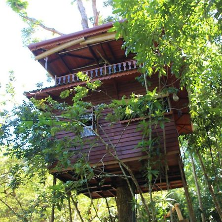 Villa Tree House-Midigama Weligama Esterno foto
