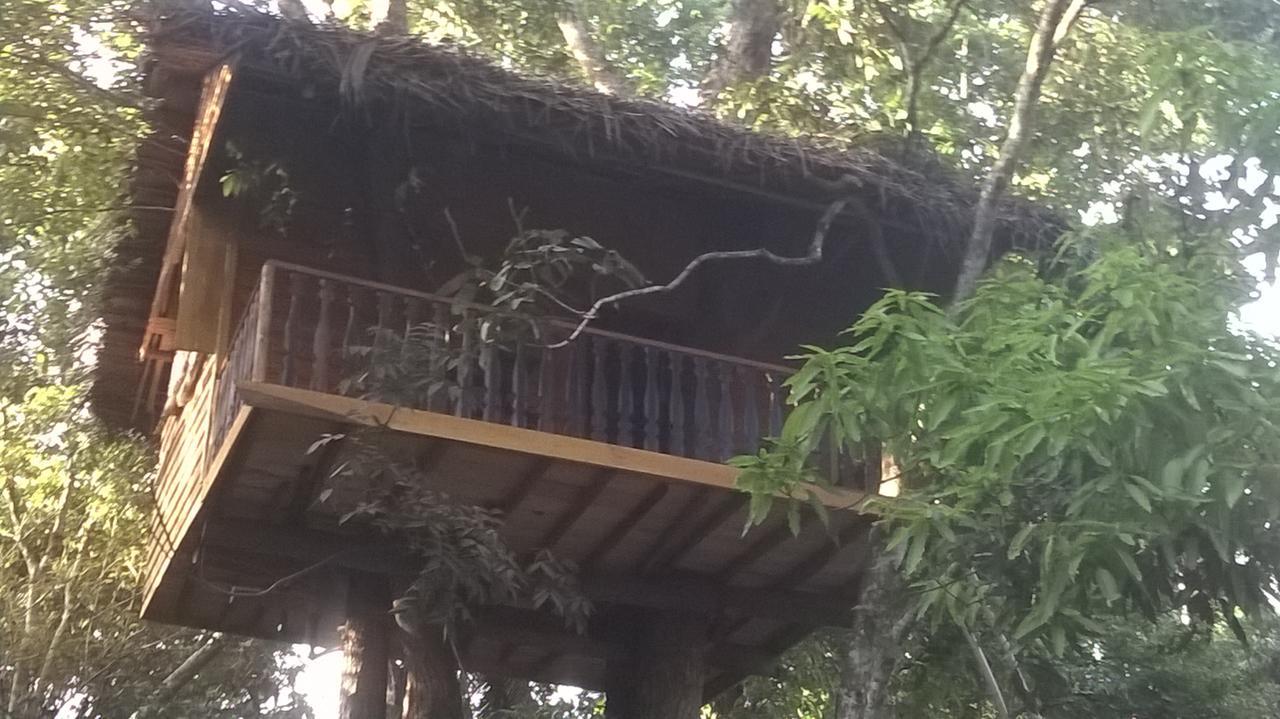 Villa Tree House-Midigama Weligama Esterno foto