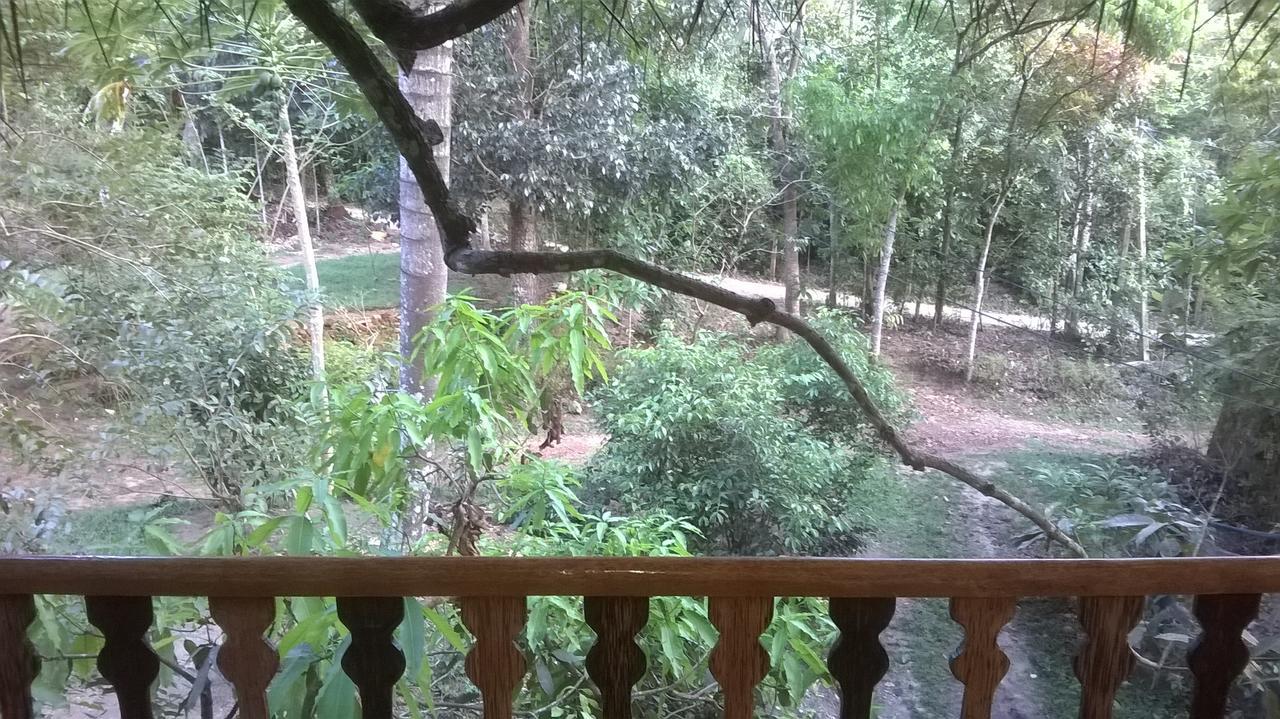 Villa Tree House-Midigama Weligama Esterno foto
