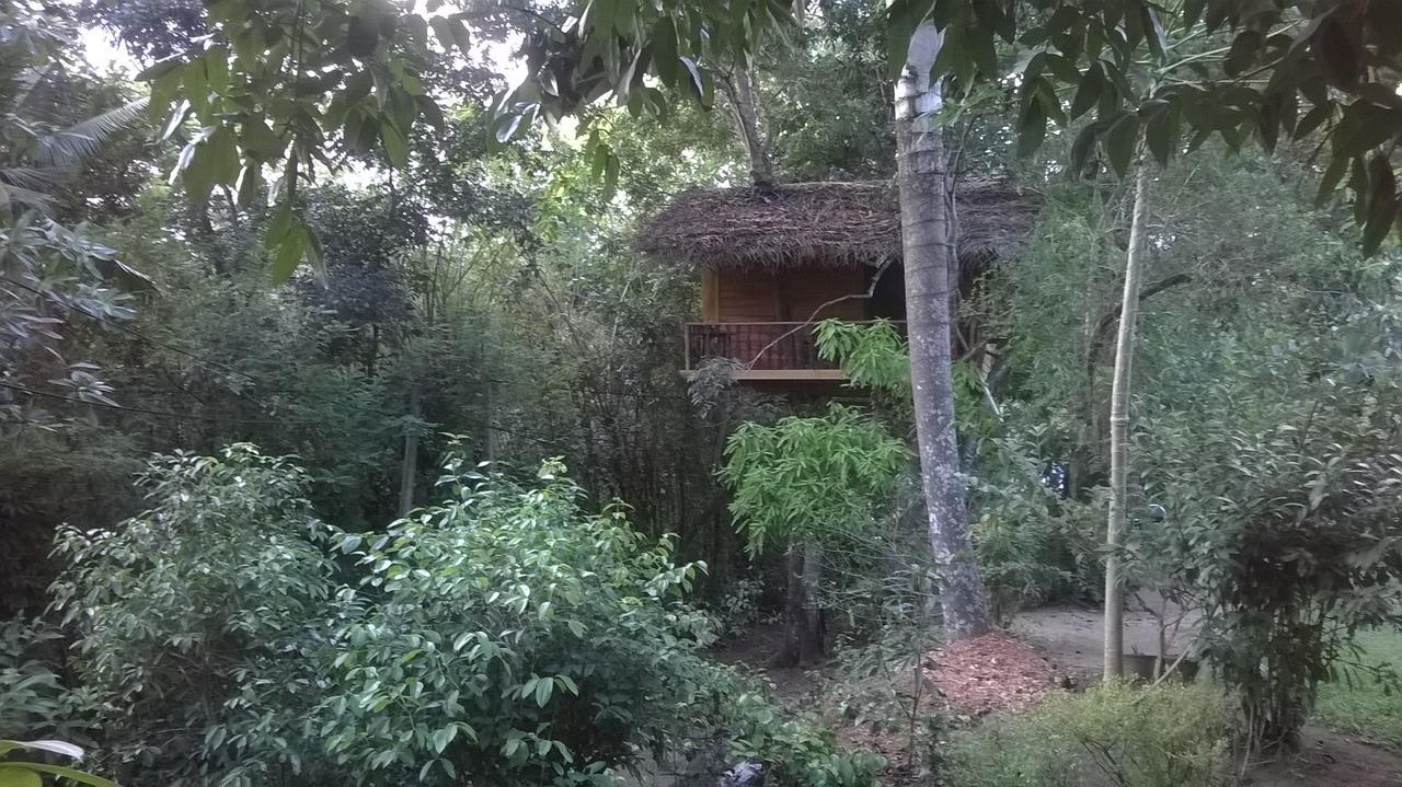 Villa Tree House-Midigama Weligama Esterno foto