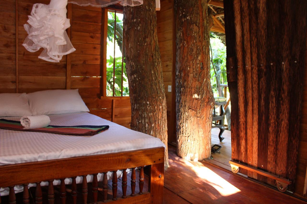 Villa Tree House-Midigama Weligama Esterno foto
