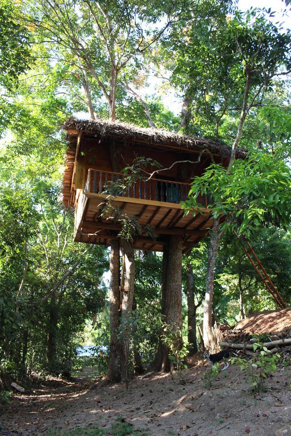 Villa Tree House-Midigama Weligama Esterno foto