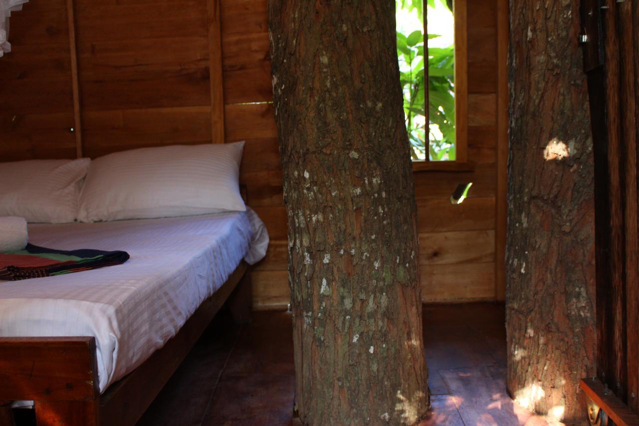 Villa Tree House-Midigama Weligama Esterno foto