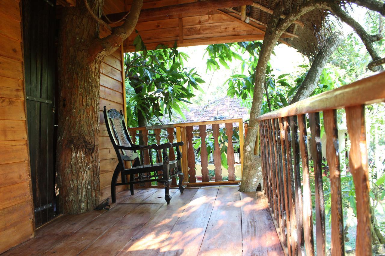 Villa Tree House-Midigama Weligama Esterno foto