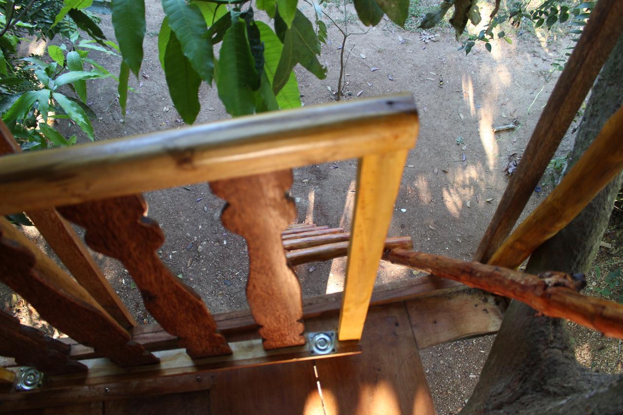 Villa Tree House-Midigama Weligama Esterno foto