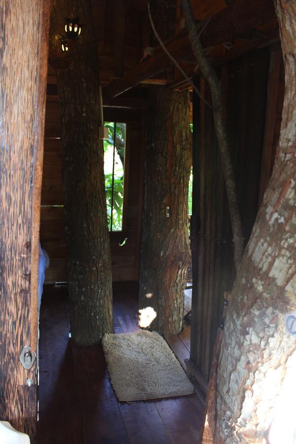 Villa Tree House-Midigama Weligama Esterno foto
