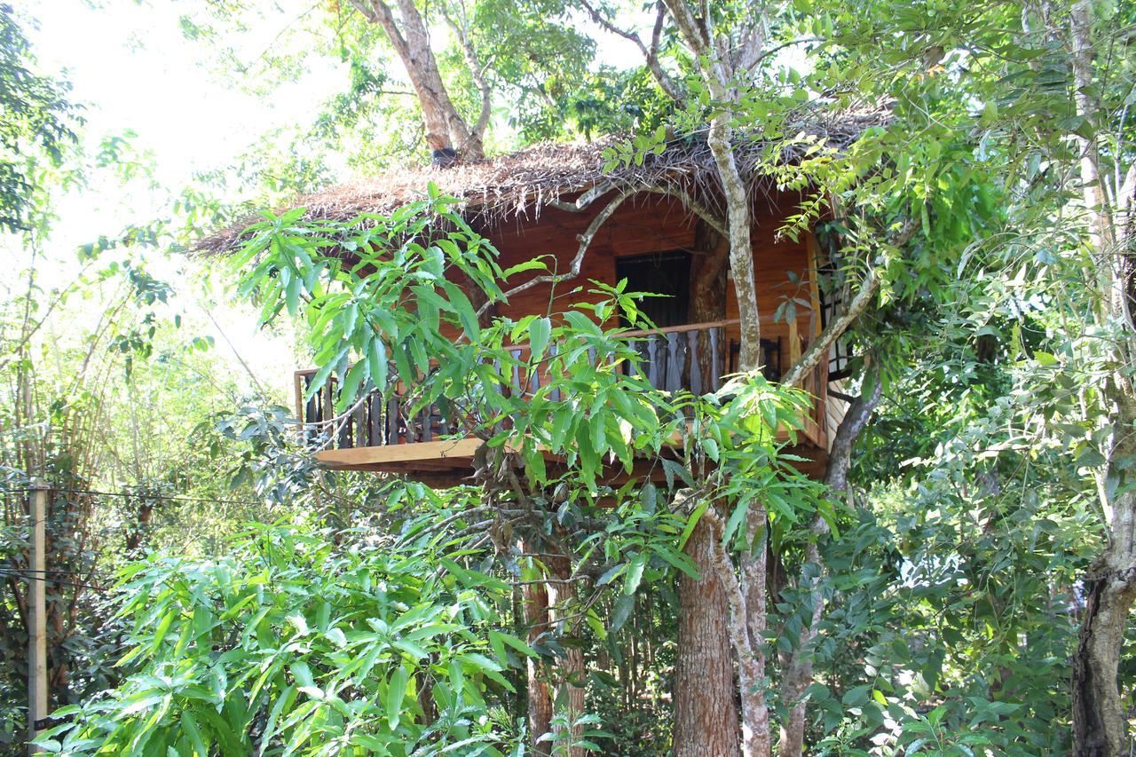 Villa Tree House-Midigama Weligama Esterno foto