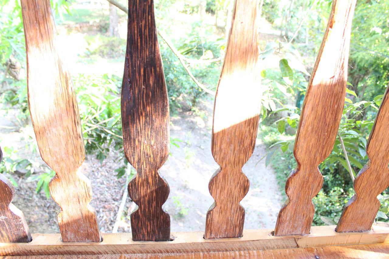 Villa Tree House-Midigama Weligama Esterno foto
