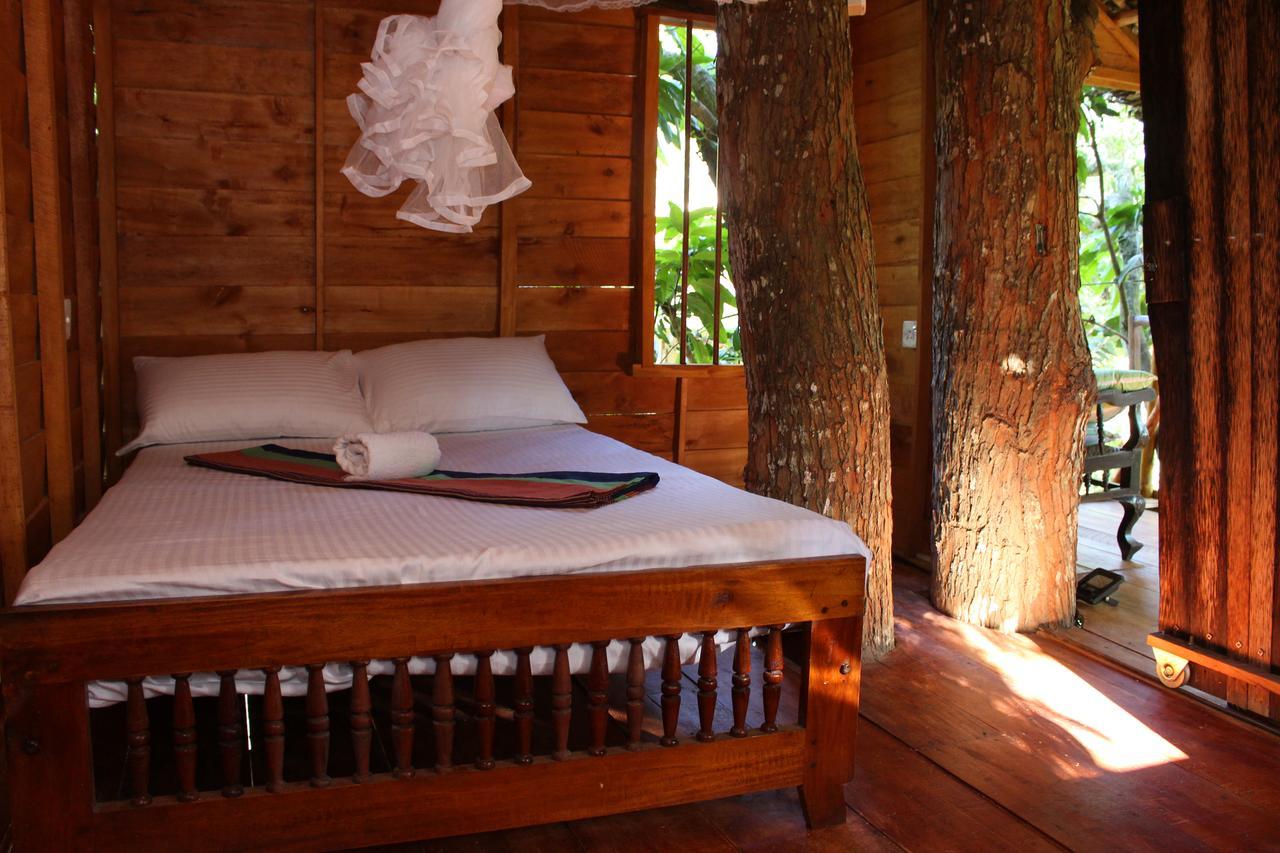 Villa Tree House-Midigama Weligama Esterno foto