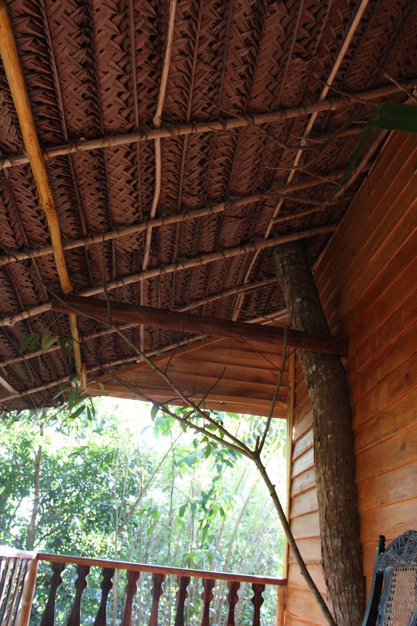 Villa Tree House-Midigama Weligama Esterno foto