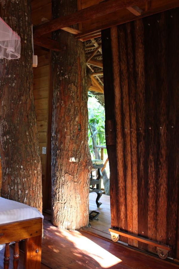 Villa Tree House-Midigama Weligama Esterno foto