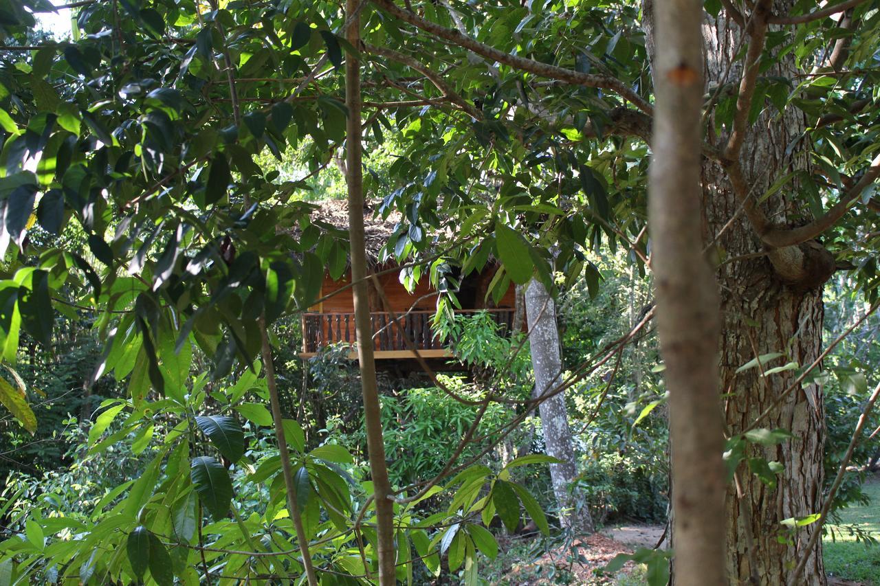 Villa Tree House-Midigama Weligama Esterno foto