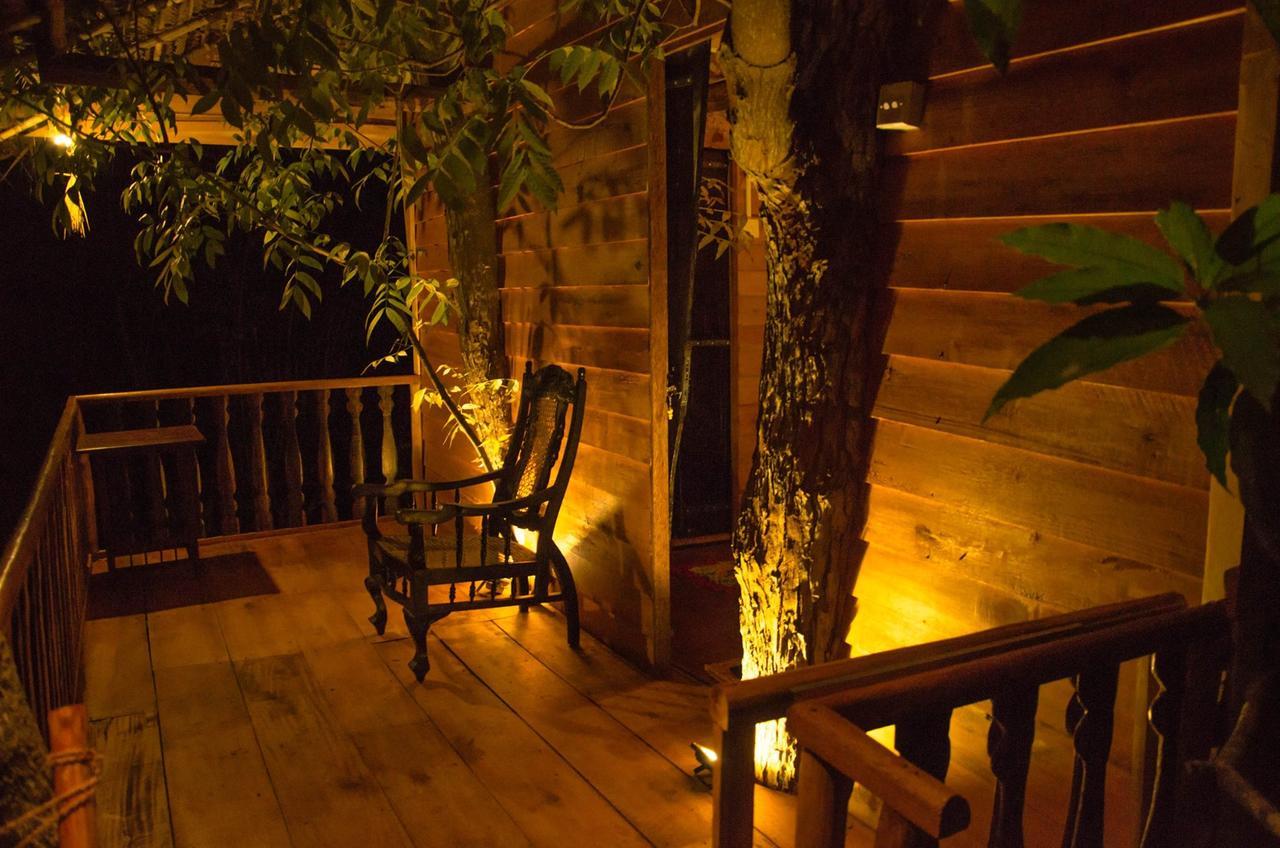 Villa Tree House-Midigama Weligama Esterno foto