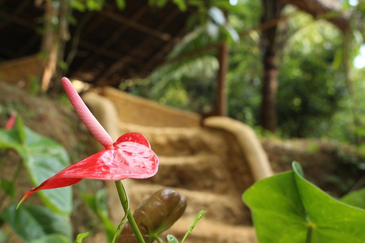 Villa Tree House-Midigama Weligama Esterno foto
