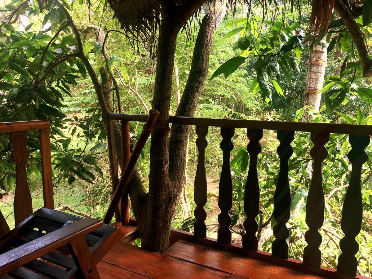 Villa Tree House-Midigama Weligama Esterno foto