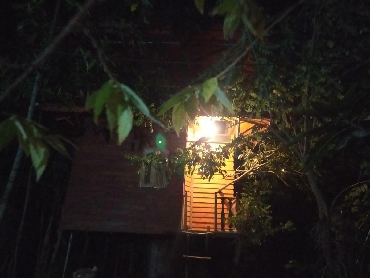 Villa Tree House-Midigama Weligama Esterno foto