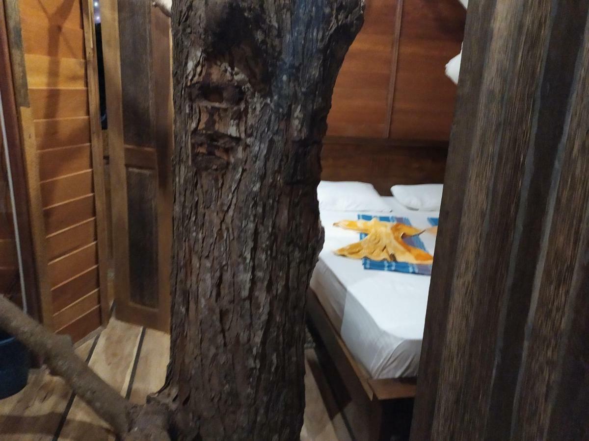 Villa Tree House-Midigama Weligama Esterno foto