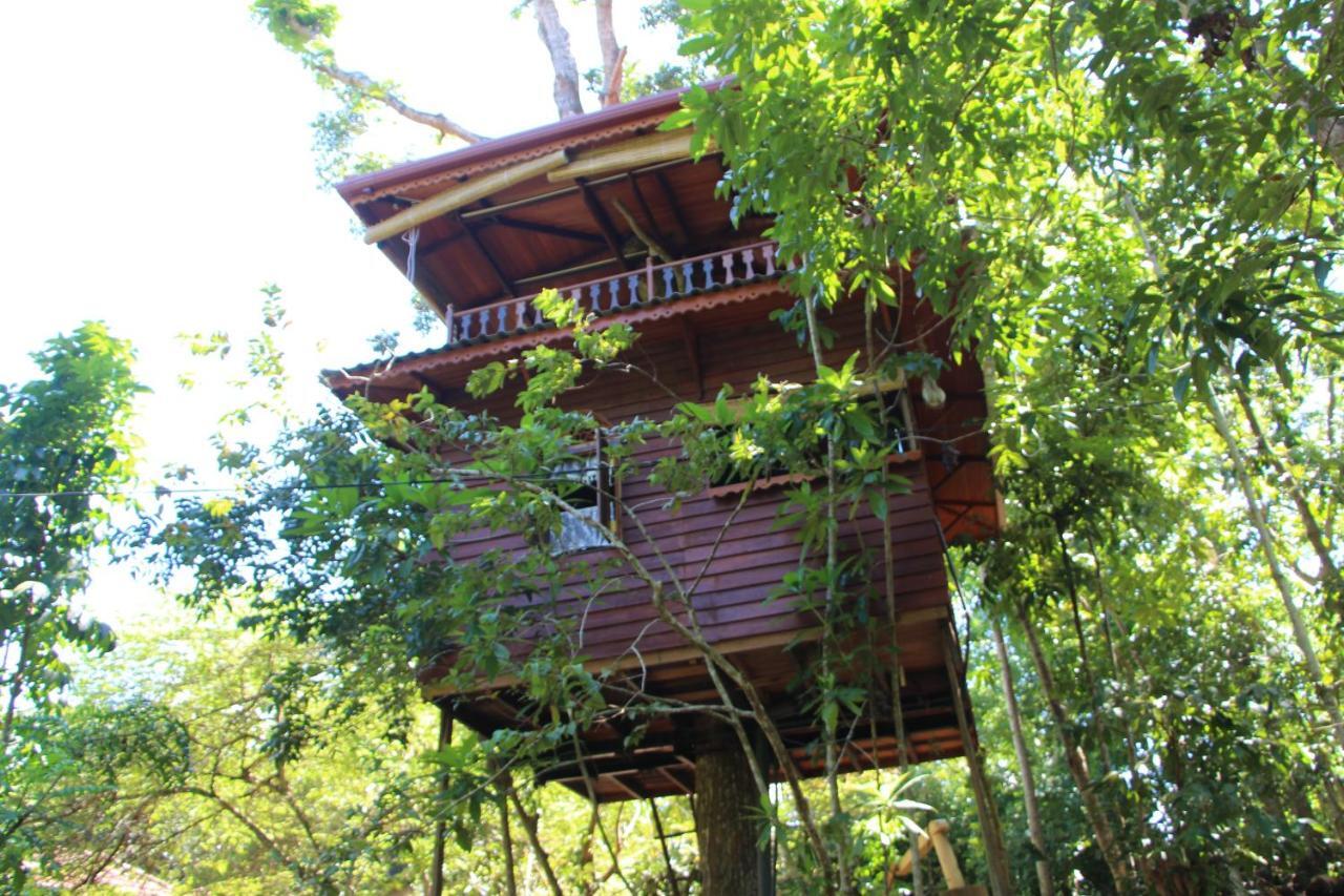 Villa Tree House-Midigama Weligama Esterno foto