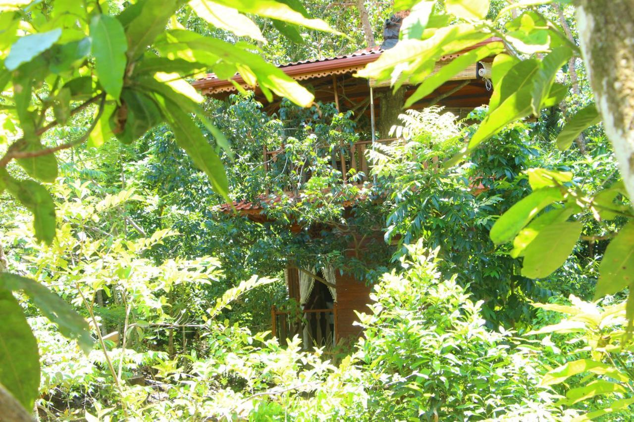 Villa Tree House-Midigama Weligama Esterno foto