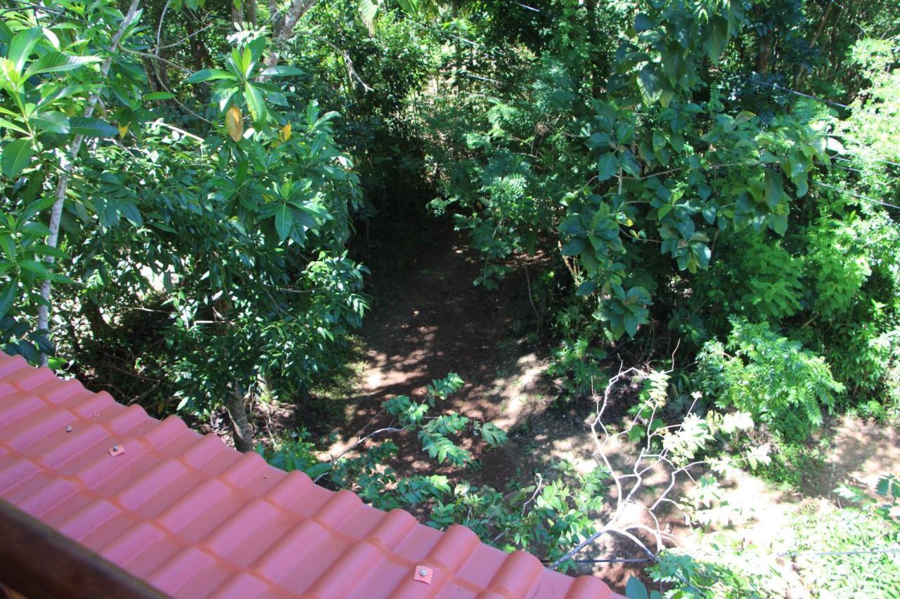 Villa Tree House-Midigama Weligama Esterno foto