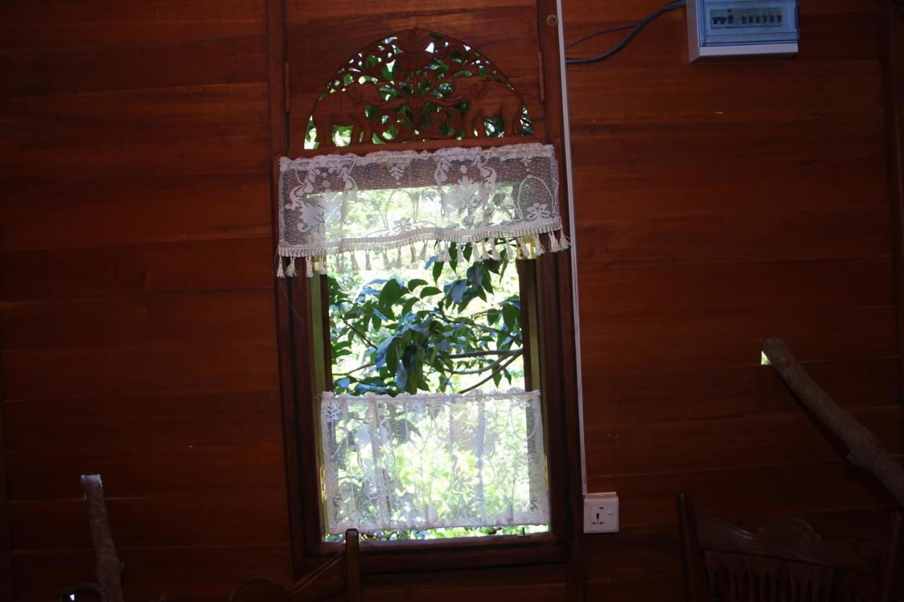Villa Tree House-Midigama Weligama Esterno foto