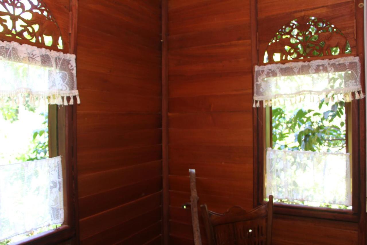 Villa Tree House-Midigama Weligama Esterno foto