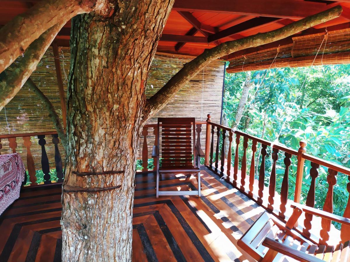 Villa Tree House-Midigama Weligama Esterno foto