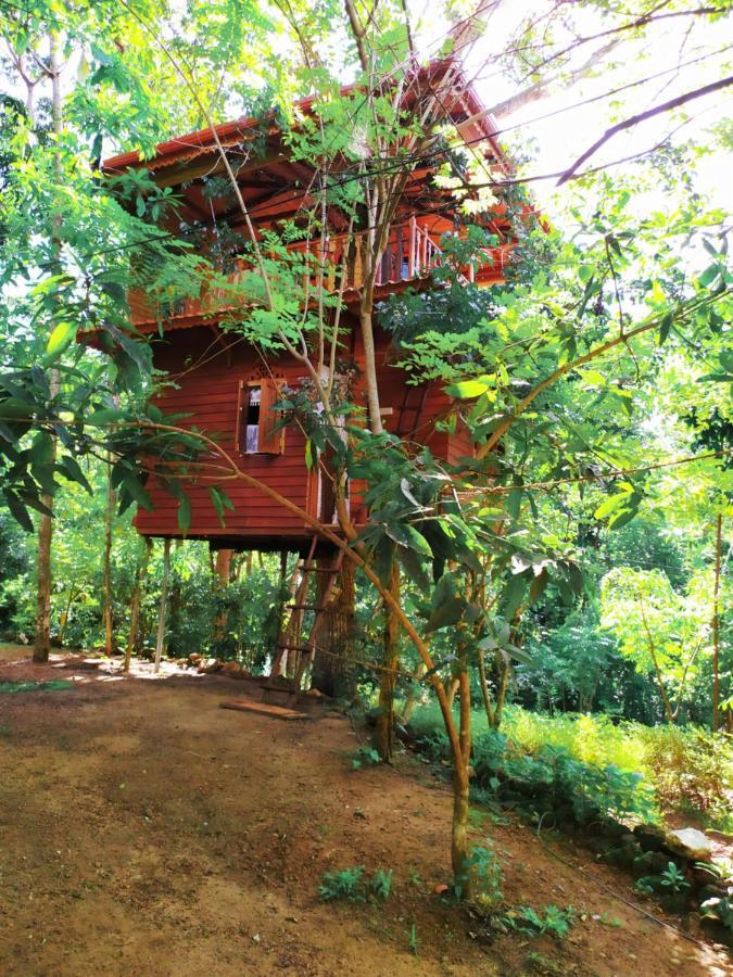Villa Tree House-Midigama Weligama Esterno foto