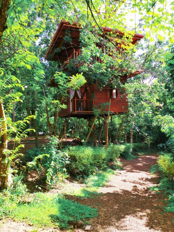 Villa Tree House-Midigama Weligama Esterno foto