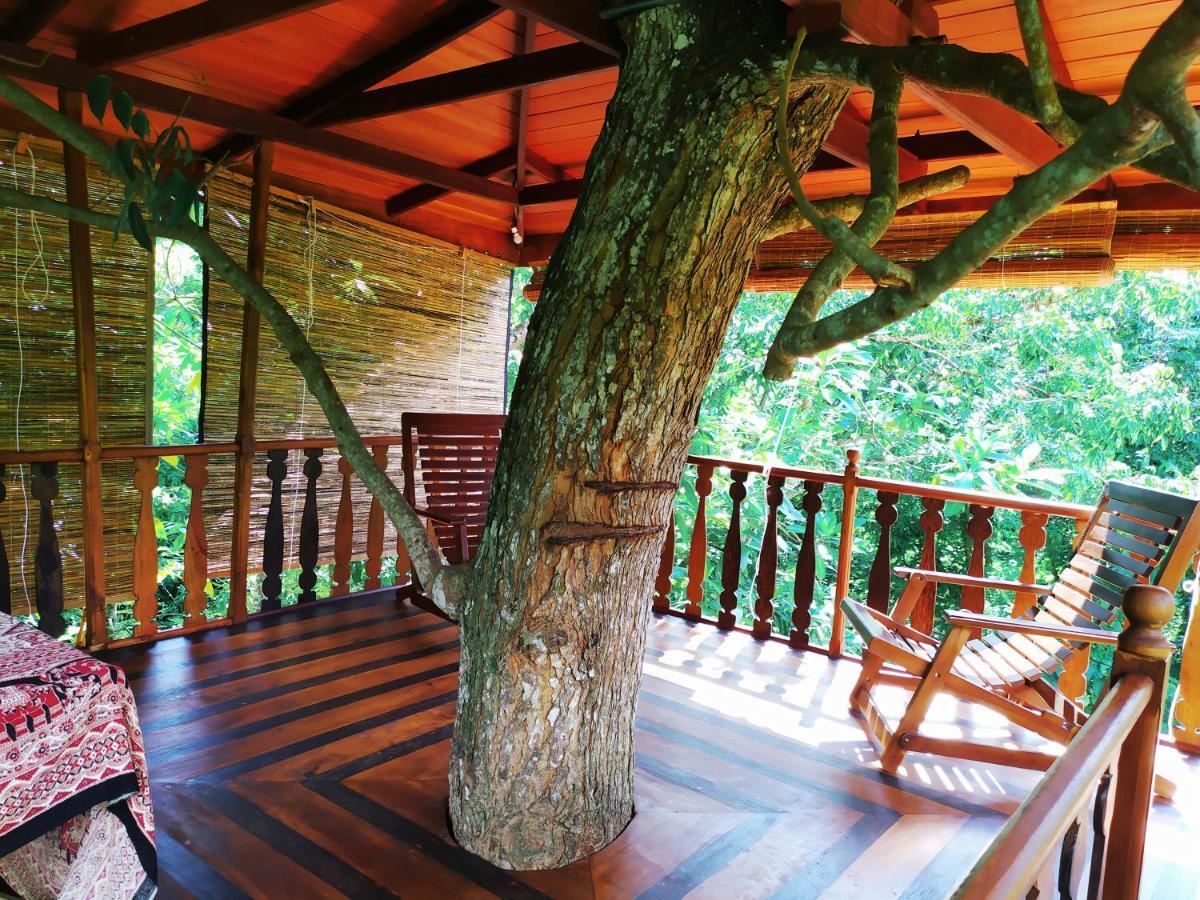 Villa Tree House-Midigama Weligama Esterno foto